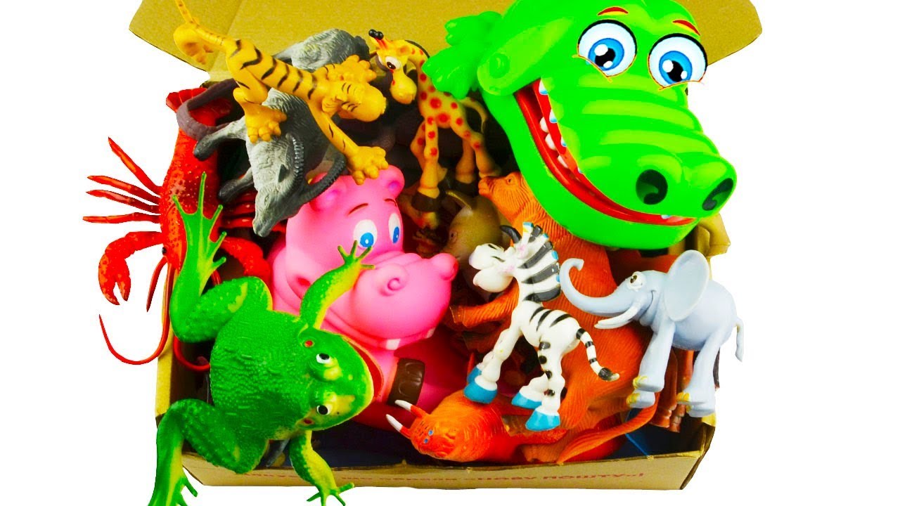 Zoo Animals Box of Toys for Kids Wild Animals Learn Sea YouTube
