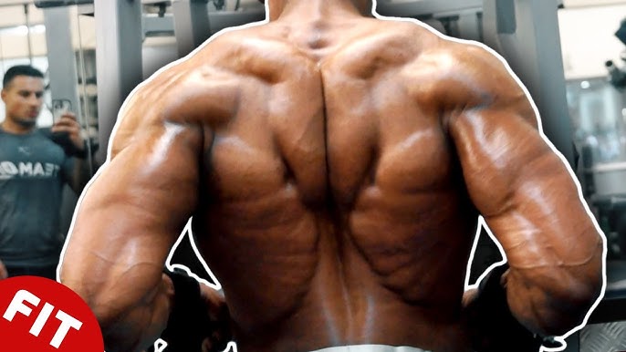 The Only Back Workout You Need for That Perfect V-Shape - GymGuider.com   Exercices de musculation pour hommes, Exercice musculation dos, Fitness et  musculation
