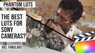 How to get the BEST SKIN TONES on SONY CAMERAS | JOEL FAMULARO Phantom LUTs Overview