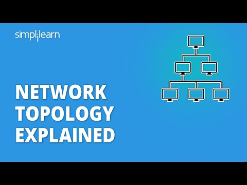 One-Stop Guide to Understanding What Is Network Topology?