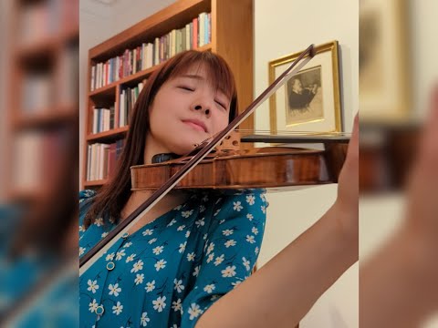 【ストラディバリウス】即席チャイコフスキー協奏曲！Tchaikovsky Violin Concerto 1st mov (excerpt) on Stradivarius 🎻