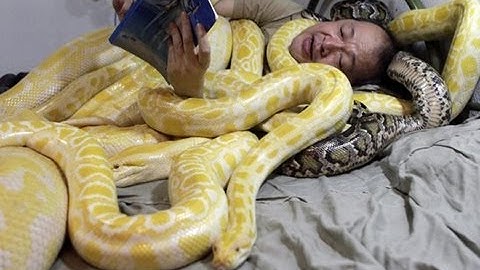 Living With Snakes : SnakeBytesTV