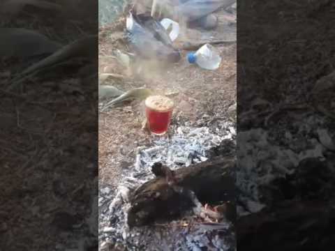 مادبا الواله