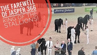 The farewell of Jasper 366. King of the stallions. 25 years old! Friesian horses.