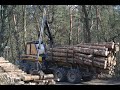 Ponsse Wisent im Einsatz/Borkenkäferbefall im Mischwald Teil 2