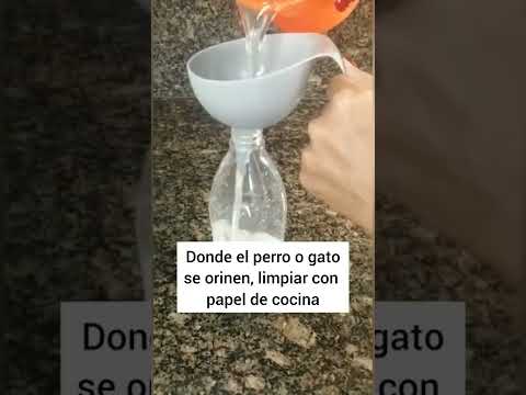 Video: Cómo matar pulgas con Sevin