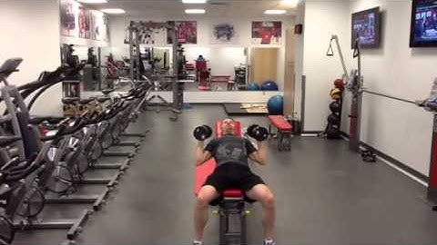 Dumbbell Incline Bench Press-Isometric