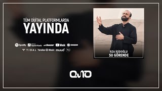 Rza İgidoğlu - Su Görende Resimi