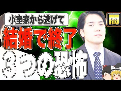 【ゆっくり解説】小室圭と結婚で終了する3つの恐怖。逃げて