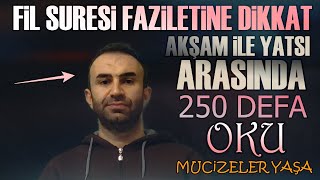 Elem Tere Keyfe Suresi Faydaları Saymakla Bitmiyorakşam İle Yatsı Arası 250 Kere Oku Mucize Yaşa