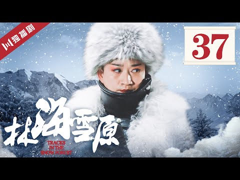 【FULL】林海雪原 EP37 千面佛来到牡丹江 醉花欲杀杨子荣 (倪大红/黄觉/金星/李光洁/张睿)