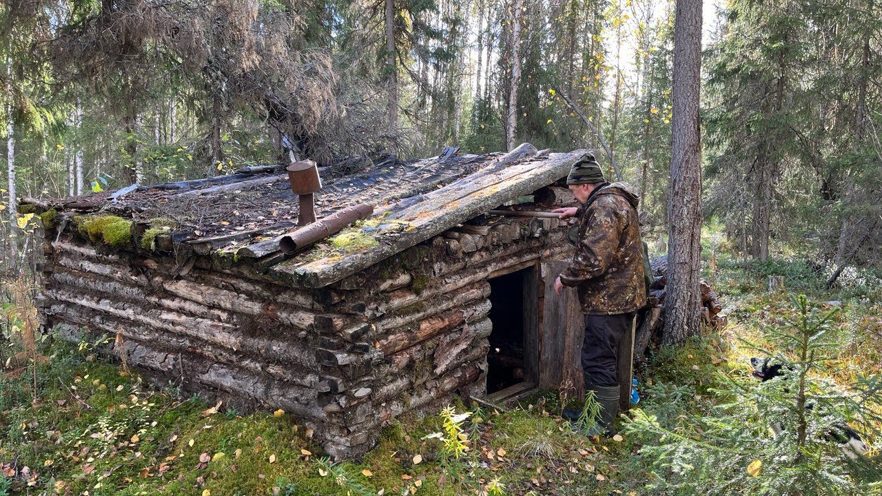 Старая таёжная избушка. Охотничьи угодья в глухой тайге. Удачный выстрел.