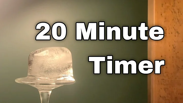 20 Minute Timer with Ice Cube Melting Time Lapse