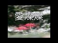 【大きな歌詞付き】愛燦燦【レク】