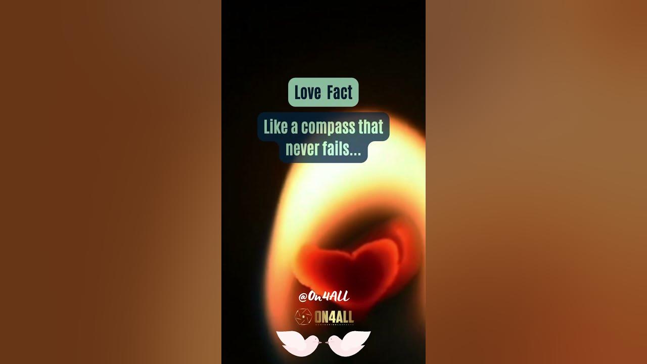 love-exposed-uncovering-the-hidden-realities-and-facts-about-love