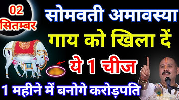 02 सितम्बर सोमवार सोमवती अमावस्या को गाय को खिला दें ये 1 चीज बनोगे करोड़पति - Pardeep mishra