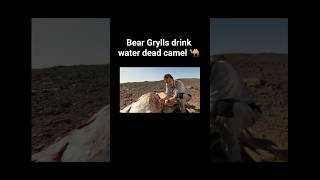 bear grylls Drink water | Man Vs Wild In hindi #ytshorts #manvswildinhindi #beargrylls #survival
