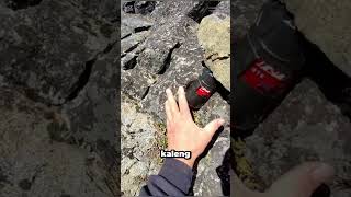 Kaleng Bekas Ini Ternyata Bisa Jadi Kamera — Hasilnya Mengejutkan