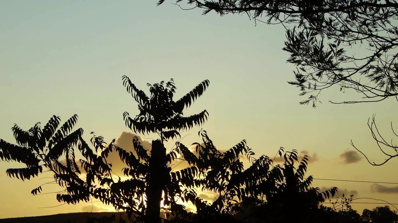 Face in the crowd Tom Petty YouTube