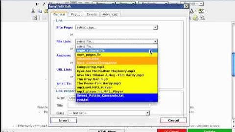Creating Links - Soholaunch Website Builder for Business