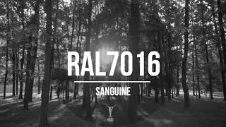 RAL7016 - Sanguine (Beatless Version) - NM2