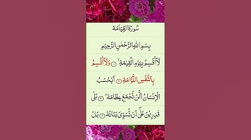 سورة القيامة کی ابتدائی آیات کی تلاوت سنیں #islam #mohammad #s.a.w#qurantilawat #islamic