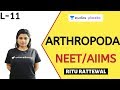 L11: Arthropoda | Animal Kingdom | Pre-medical - NEET/AIIMS | Ritu Rattewal