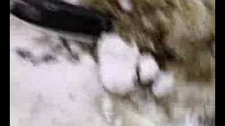 Neve Al Promo Coco O