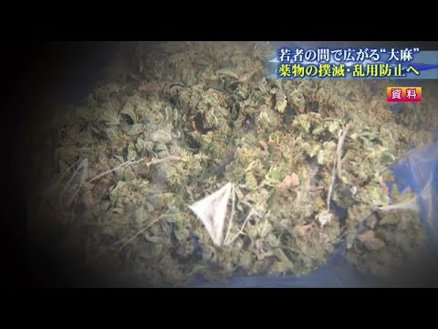 Marijuana is spreading among young people; doctors warn of hallucinations and intoxication... bef...