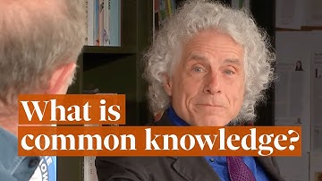 The Observer Book Club with Steven Pinker