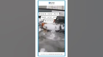 When You Put Dry Ice In Water...#shorts #ytshorts #viral #viralvideo #short #viralshorts