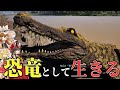 The Isle ゆっくり実況 最強のワニ目指して成長してたらブチギレ寸前の事態になりました ゆっくり実況 ザアイル Theisle The Isle ゆっくり実況 最強のワニ目指して成長してたらブチギレ寸前の事態になりました ゆっくり実況 ザアイル Theisle