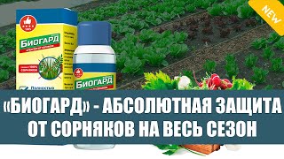 СРЕДСТВО ОТ СОРНЯКОВ ЭФФЕКТИВНОЕ ЦЕНА