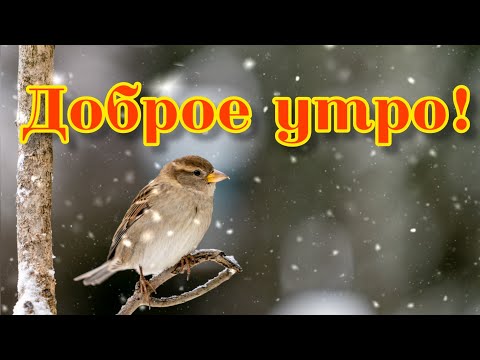 ❄❄❄ДОБРОЕ УТРО! ХОРОШЕГО ДНЯ!❄❄❄