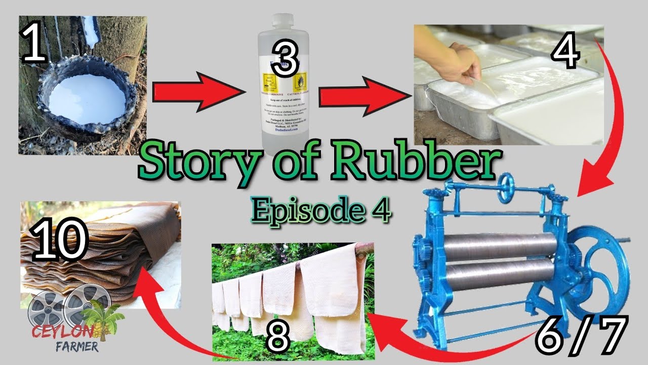 දුම්ගැසූ ශීට් රබර් නිශ්පාදනය Traditional sheet rubber production
