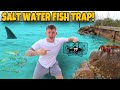 Catching exotic fish in salt water fish trap