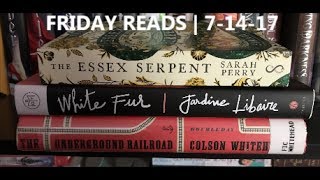 Friday Reads | 7-14-17