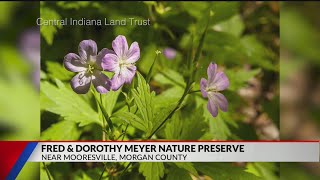 Top places to see spring colors in central Indiana