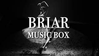 BRIAR Music Box – VST &amp; AU Plugin (Trailer)