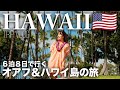 [ 最新版 ]やっぱり行きたいハワイ🌺 オアフとハワイ島を巡る6日間の旅✈️渡航歴30回以上、ハワイ通が行く定番&最新スポットを一気見!