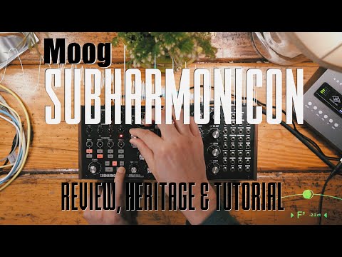Moog Subharmonicon Heritage Review & Tutorial