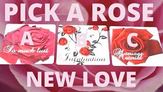 PICK A ROSE SINGLES NEW LOVE PICK A CARD