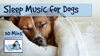 Relaxation Sleep Music for Dogs and Puppies! 30 Minutes of Calming Dog Music screenshot 5