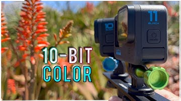 GoPro using 10-Bit Color 🔥 Can you see a difference?
