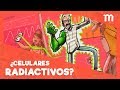 ¿Dan cáncer los celulares?