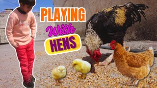 Qasim Playing With Hen 😊 | Care of Pets | Glossy Lifestyle Vlogs