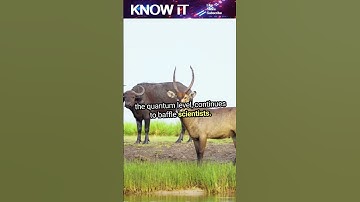 10 Natural Phenomena That Science Still Can’t Fully Explain #shortsvideo