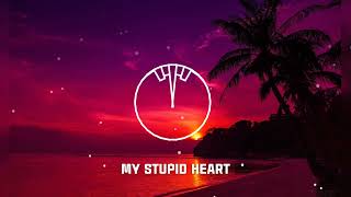 My Stupid Heart - Walk Off the Earth (Mhslmn Remix) Resimi