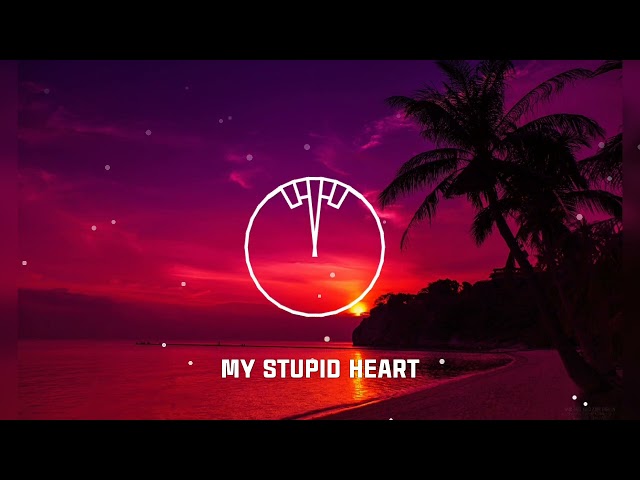 My Stupid Heart - Walk Off the Earth (Mhslmn Remix) class=