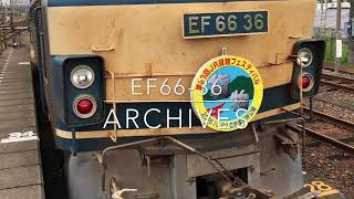 EF66-36 Archives